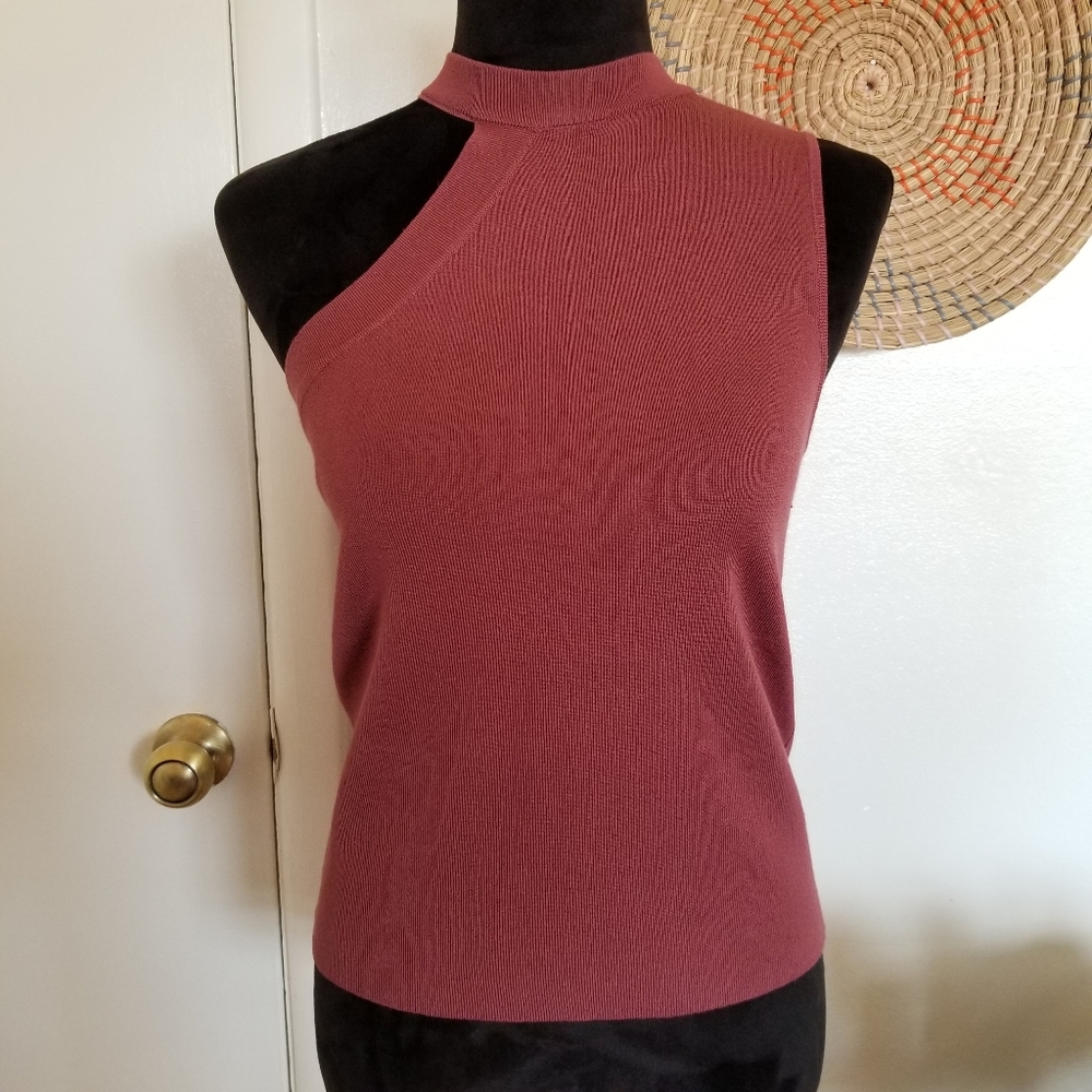 Zara Asymmetrical Mauve Knit Sleevless Top
